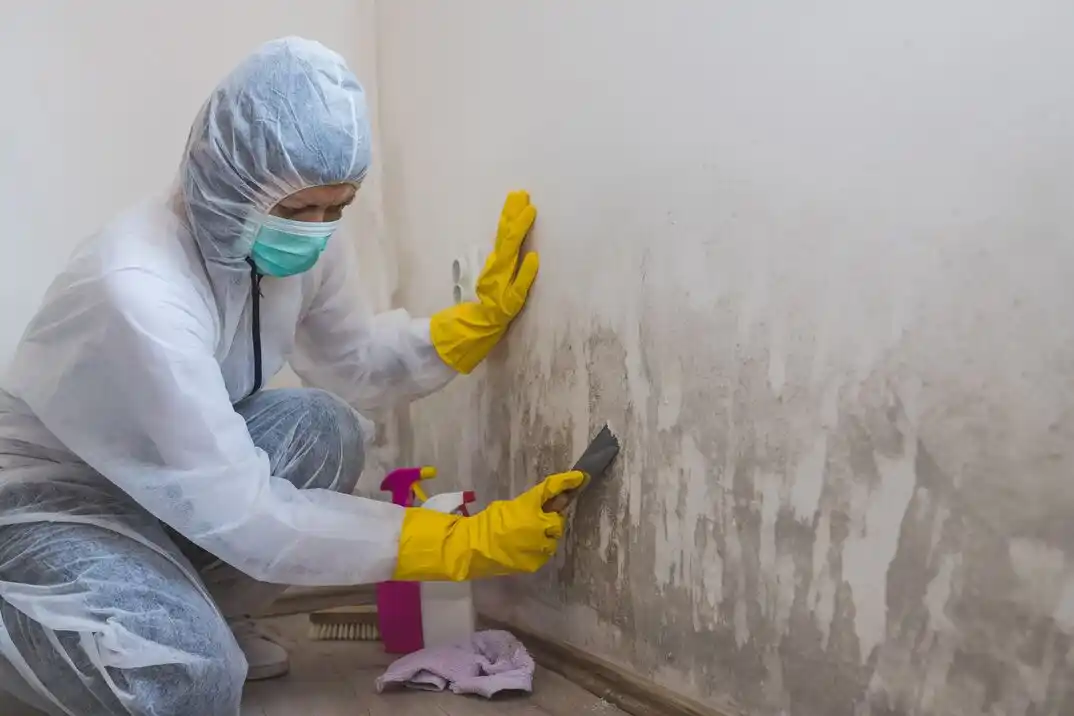 water damage restoration service Chartiers City